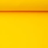 Nano Softshell Jenny Neon